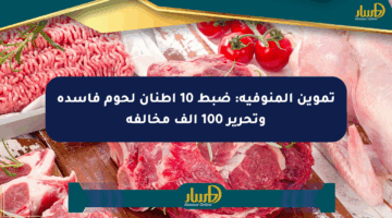 تموين المنوفية: ضبط 10 أطنان لحوم فاسدة وتحرير 100 ألف مخالفة